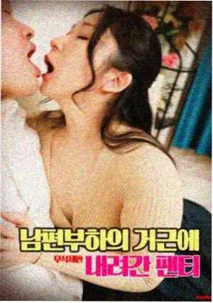 动画片图鉴修复前后对比占位图